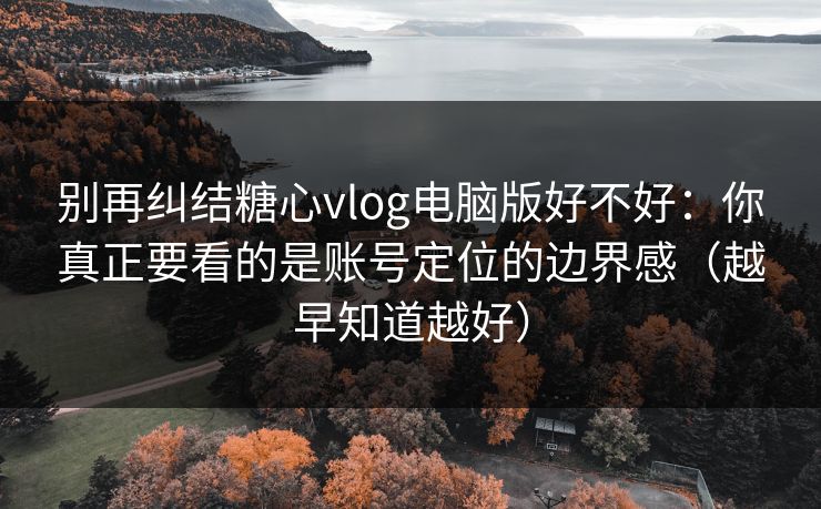 别再纠结糖心vlog电脑版好不好：你真正要看的是账号定位的边界感（越早知道越好）